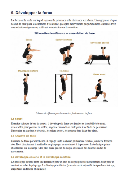 Prêt pour le Rugby